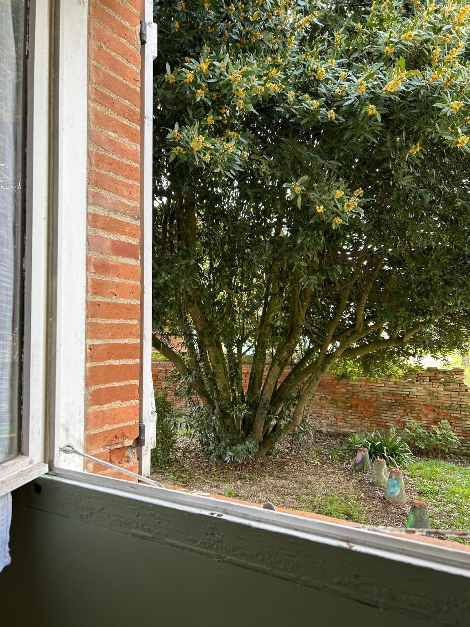 Manoir De La Gravette, Manoir Et Table D'Hotes 蒙托邦 外观 照片